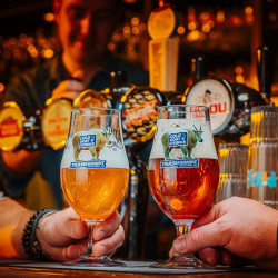 Verre à bière réutilisable 50 cl Festicup® – Mister Gustav 2